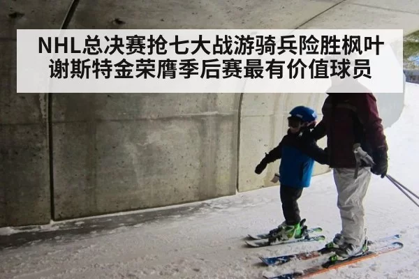 NHL总决赛抢七大战游骑兵险胜枫叶 谢斯特金荣膺季后赛最有价值球员
